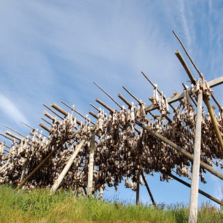 Hamnøy - Stockfish